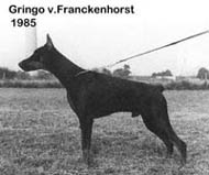 Gringo v. Franckenhorst 