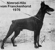 Nimrod Hilo v. Franckenhorst